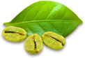 beans_premium